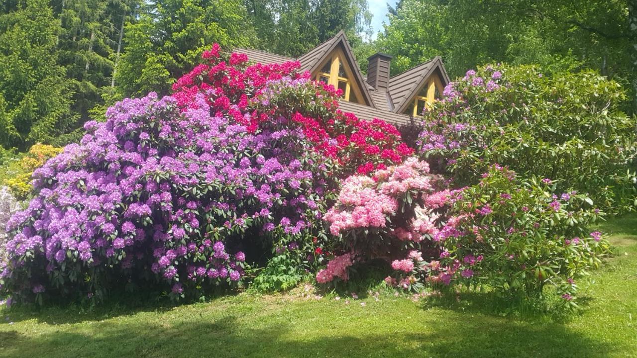 Chalet Bellevue Rogla Zreče المظهر الخارجي الصورة