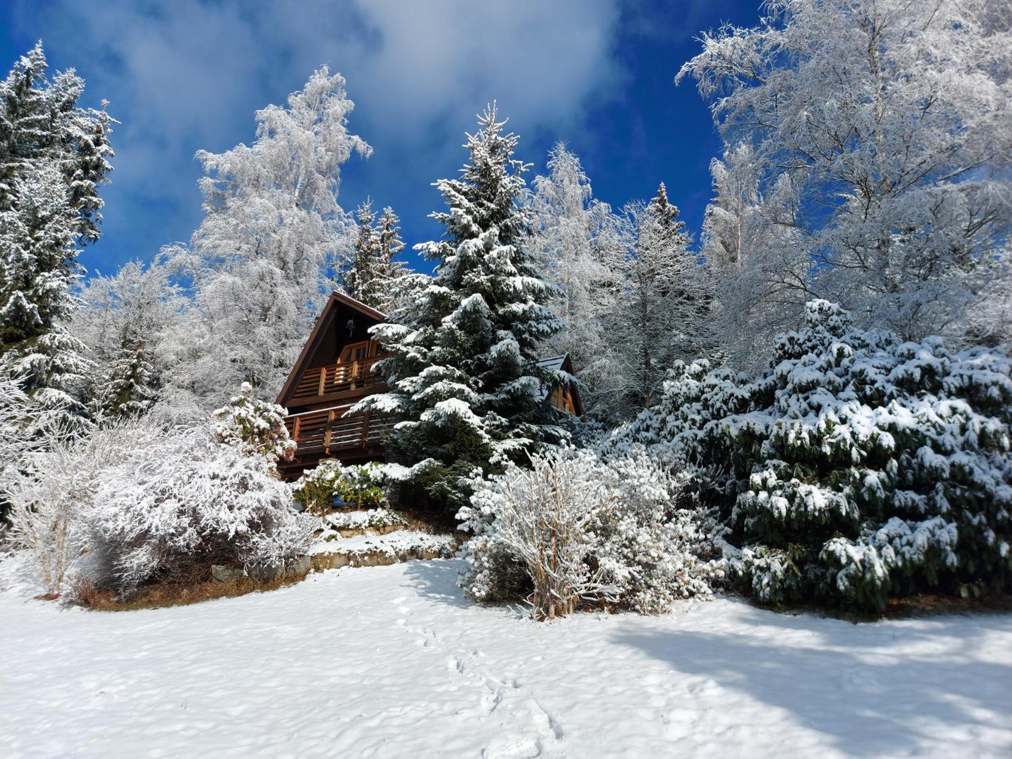 Chalet Bellevue Rogla Zreče المظهر الخارجي الصورة