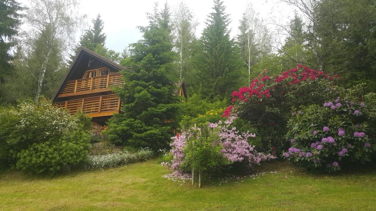 Chalet Bellevue Rogla Zreče المظهر الخارجي الصورة